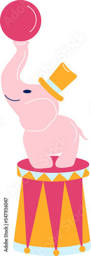 Elephant circus
