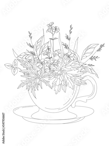 A cup of tea with flowers and leaves. Silhouette of leaves with meadow flowers. A teacup and wildflowers highlighted on a white background.