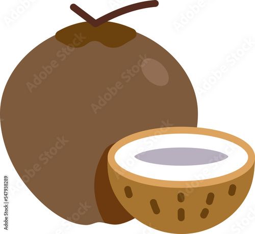 Mature Coconut and shell half cut colorful style