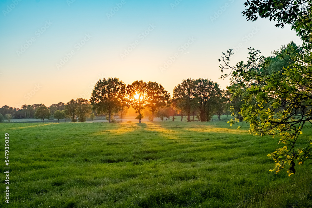 Obraz premium A Wide Angle View of a Beautiful Meadow with some mist under a blue sky at sunrise or sunset with the sun shining through the trees . High quality photo
