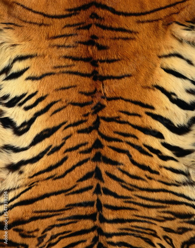 Konstfotografi Tiger texture