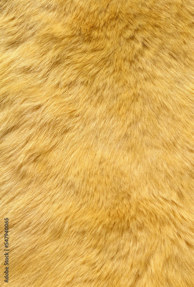 Fototapeta premium Fabrıc texture