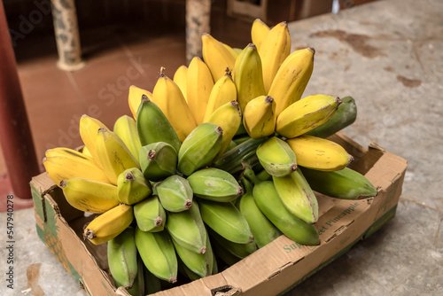  banana heap at covered market, Funchal, Madeira photo