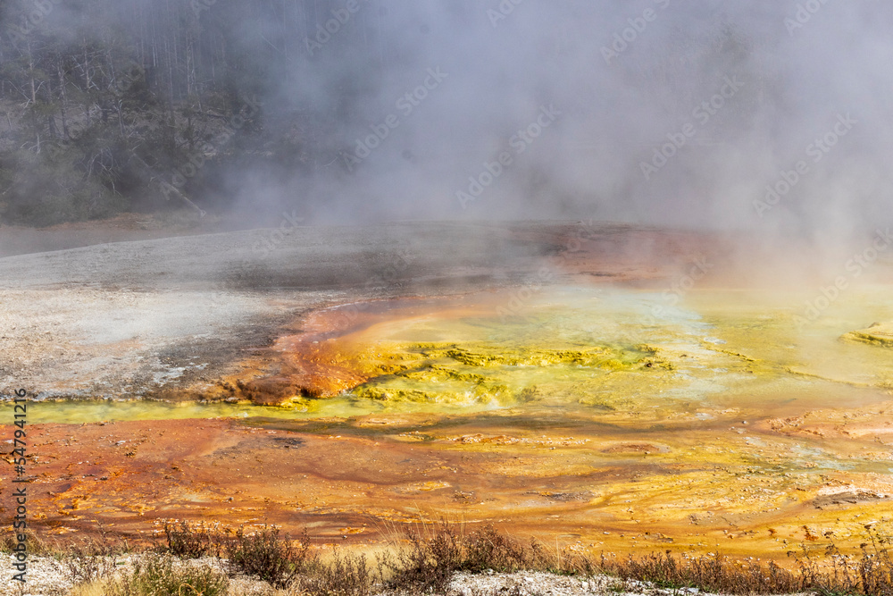 Hot spring at Yellowstone National Park. USA. Hot spring at Yellowstone National Park. USA.