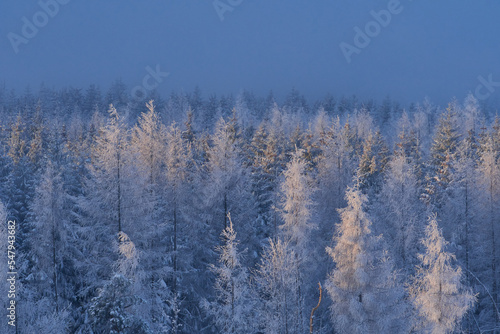Winter im Erzgebirge © Karin Jähne