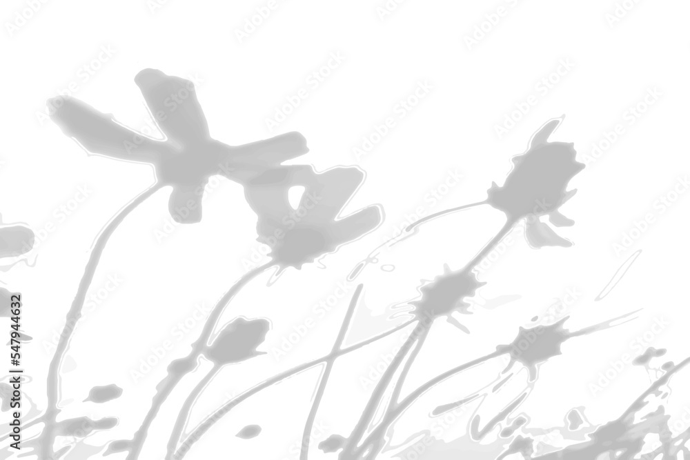 Summer background from the shadow of a sprig of field grass on a white wall. White and black for photo or mockup Summer background from the shadow of a sprig of field grass on a white wall. White and black for photo or mockup