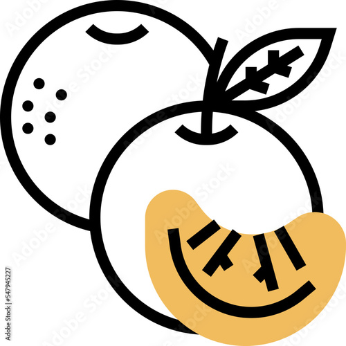 mandarin icon