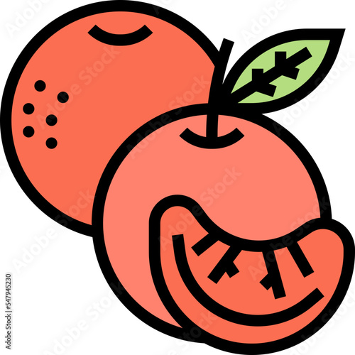 mandarin icon