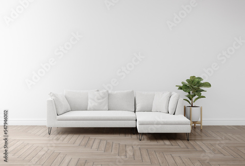 Empty white wall with sofa and house plant on wooden floor. 3d rendering of interior living room