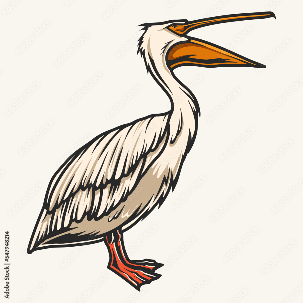 Fototapeta premium Screaming pelican colorful detailed sticker