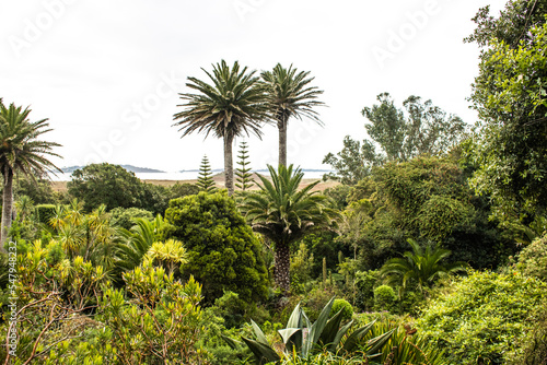 Tropical gardens on Tresco in the Isles of Scilly
