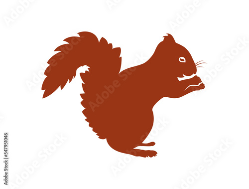 Rotes Eichhörnchen Vektor / SVG