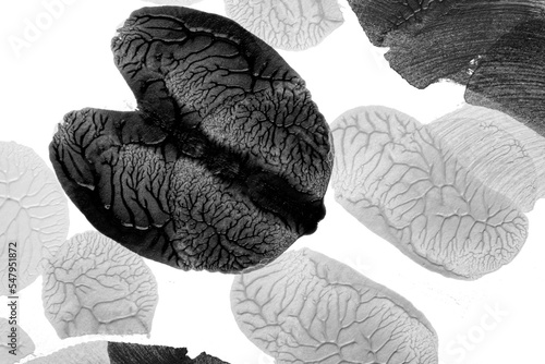 black white abstract acrylic painting color texture on white paper background by using rorschach inkblot method