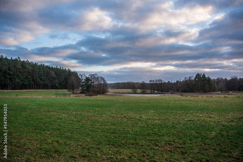 Fototapeta premium Weiher mit Lichtstimmung
