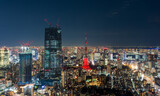 Tokyo, Japan - November 2022: Panoramic view of Tokyo skyscrapers and Tokyo tower with special illumination for full moon night.