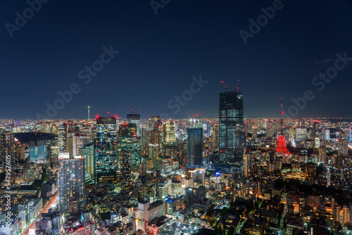Tokyo  Japan - November 2022  Panoramic view of Tokyo skyscrapers and Tokyo tower with special illumination for full moon night.