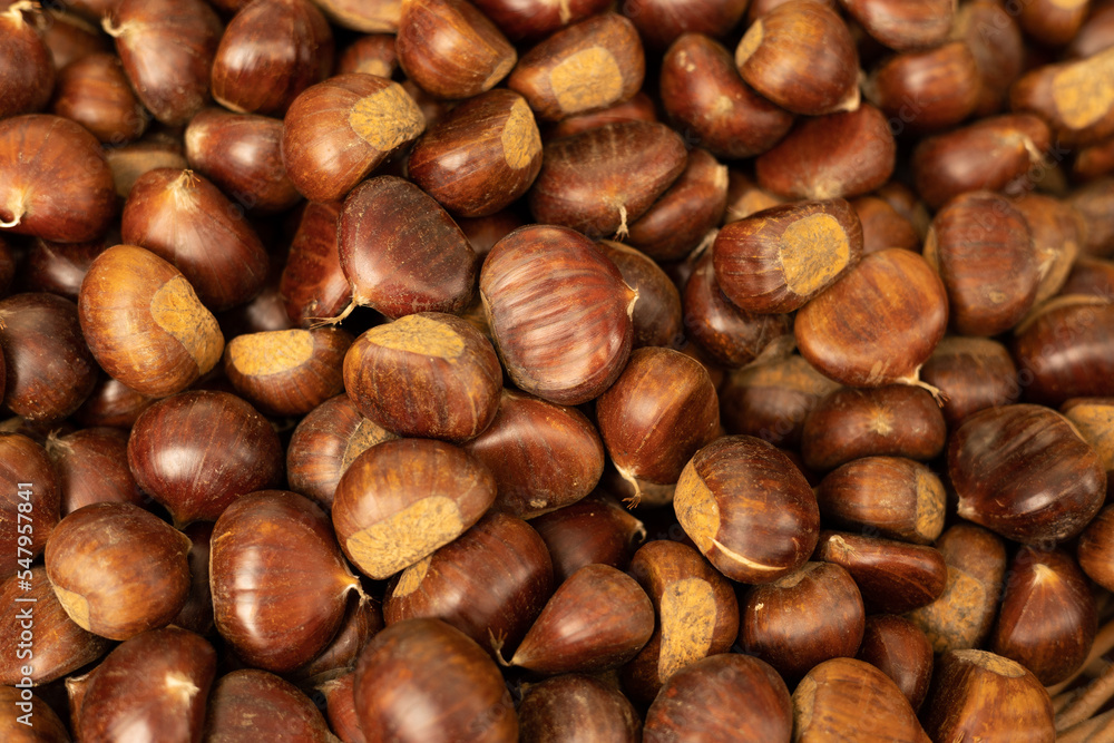 Harvested raw chestnuts at Cuneo market in Piemonte Italy, close up macro Harvested raw chestnuts at Cuneo market in Piemonte Italy, close up macro