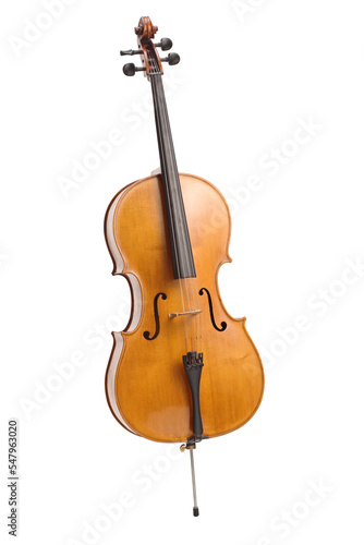 Stampa su tela Brown cello instrument
