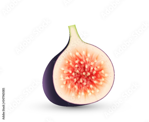 Realistic half cut fig. Fresh slice fig fruit isolated. Sweet summer tropical seasonal fruit
