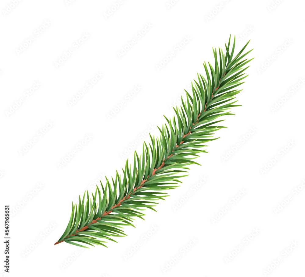 Naklejka premium Spruce branch. Green fir. Realistic Christmas tree. Decorative element for new year decoration