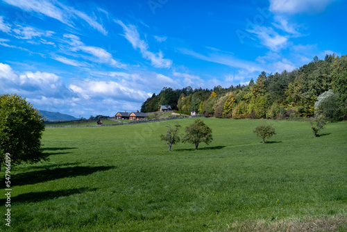 Landscape of the farm near Baska, Czech republic on the green field, at the edge of the forest with dramatic cloudy blue sky.