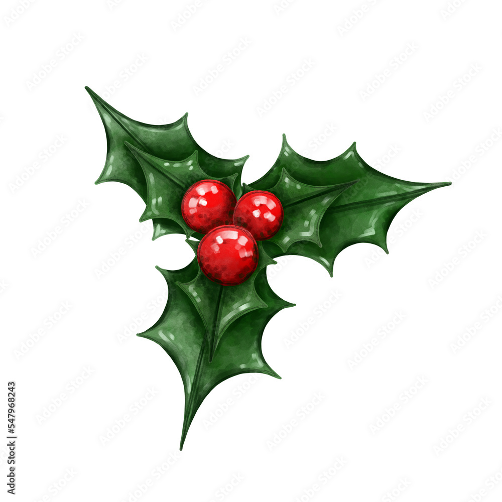 christmas holly berry. Illustration of Christmas red berries. Christmas plant element. christmas holly berry. Illustration of Christmas red berries. Christmas plant element.