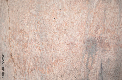 Wallpaper Mural Fondo de una textura de madera vieja con betas Torontodigital.ca