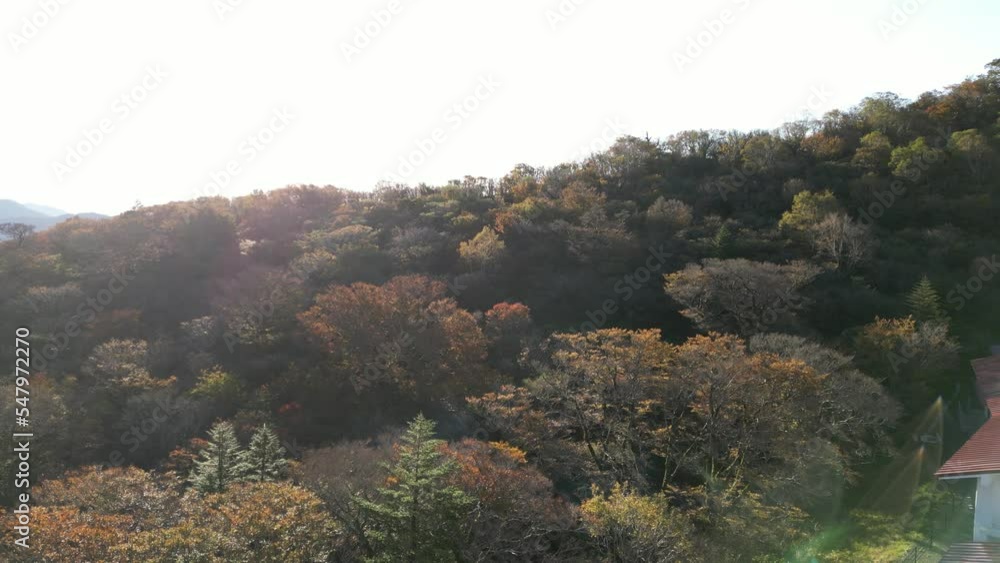 紅葉 石鎚山 ドローン空撮 紅葉 石鎚山 ドローン空撮