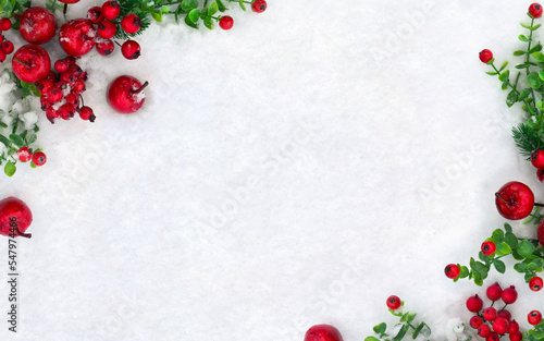 Christmas decoration. Branch christmas tree  red berries  red apples on snow with space for text. Top view  flat lay