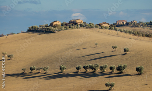 Campi arati sulle colline di Fermo nelle Marche photo