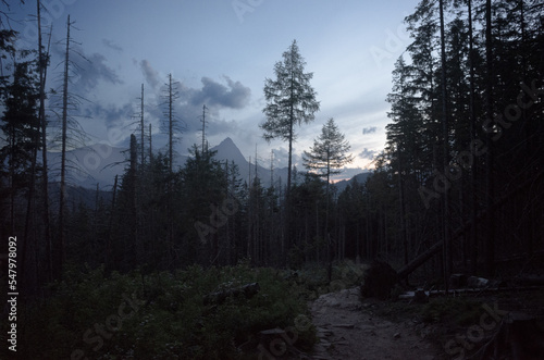 Mountain trail at night