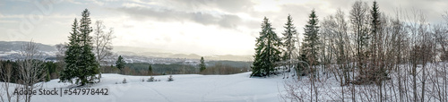 Bymarka park near Trondheim in winter. Norway © katepax