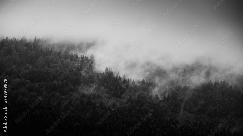 Fototapeta premium Misty day in Velebit mountains, Croatia.