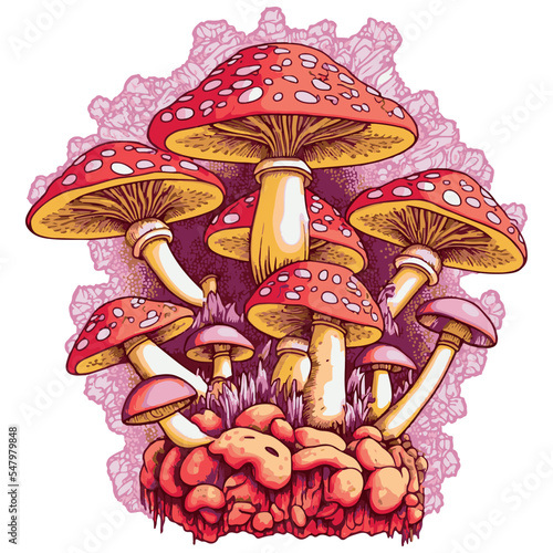 Mushroom vector illustration. Psychedelic trippy fungus. Organic magic hippie cartoon drawing.Groovy, 70's style element. Colorful art of natural plant. Poster of drugs. Peace and love movement.