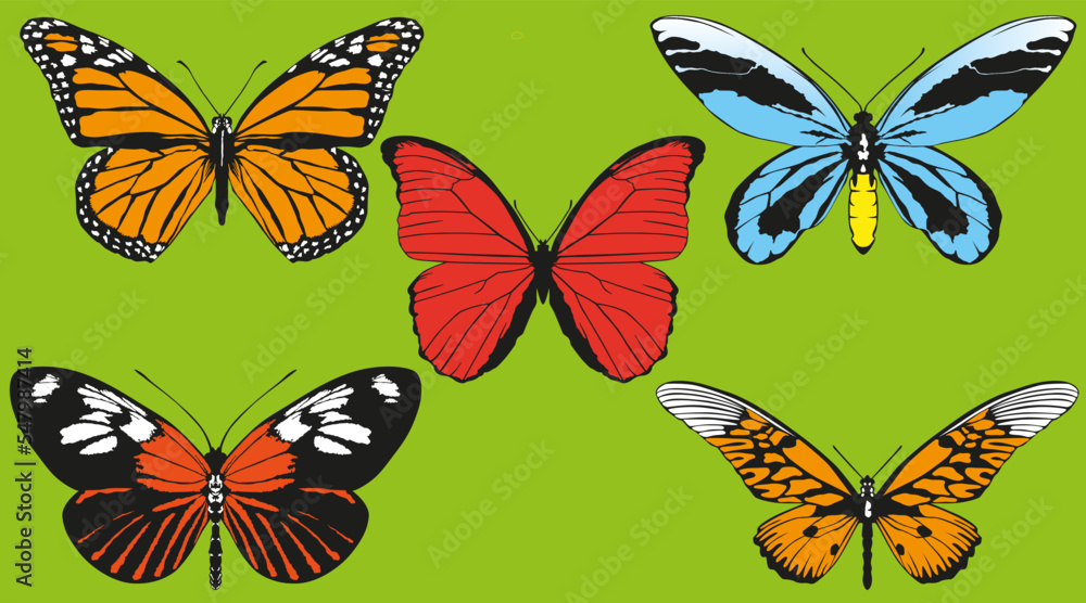 Butterflies Vector Set 3 Butterflies Vector Set 3