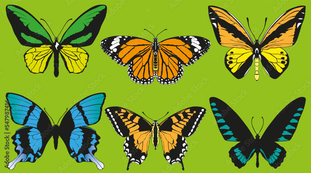 Butterflies Vector Set 4 Butterflies Vector Set 4