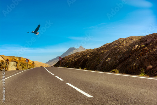 Wallpaper Mural Straße in der Wüste Torontodigital.ca