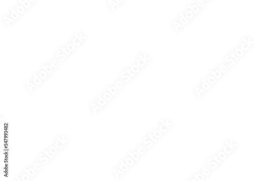 Fotografie White Queen Crown Outline