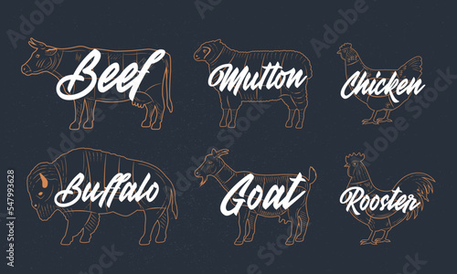 Silhouettes of Farm Animals. Cow, Lamb, Chicken, Goat, Buffalo. Vintage sketch set of farm animals. Animals meat. Vector livestock icons. 