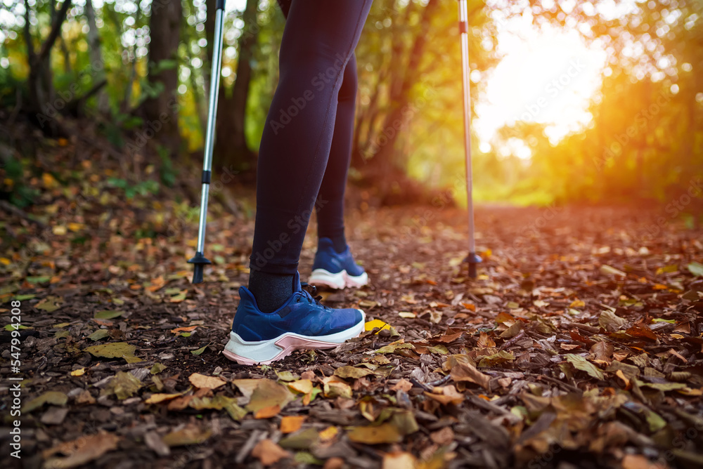 Woman with trekking sticks. Nordic walking. Woman with trekking sticks. Nordic walking.