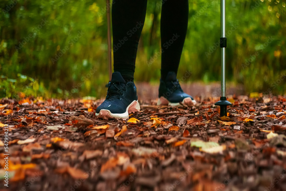 Woman with trekking sticks. Nordic walking. Woman with trekking sticks. Nordic walking.