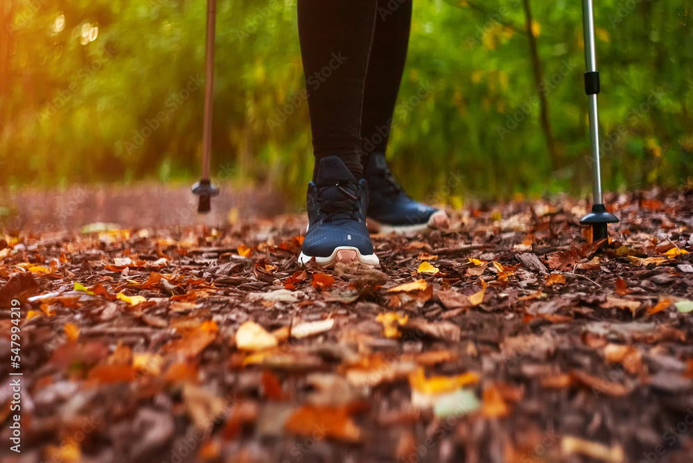 Woman with trekking sticks. Nordic walking. Woman with trekking sticks. Nordic walking.