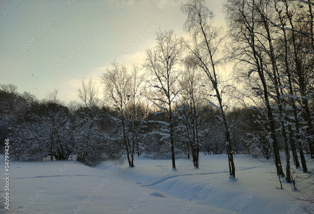 Beautiful winter weather in the forest. First snow. Beautiful winter weather in the forest. First snow.