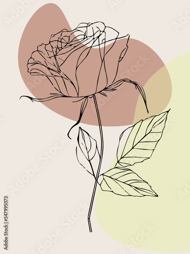 Rose outline with boho elements. Retro sketch of natural flower. Fashion line isolated. Beautiful bohemian blossom. Vintage decoration. Tattoo idea of floral graphic concept. Red trendy love.