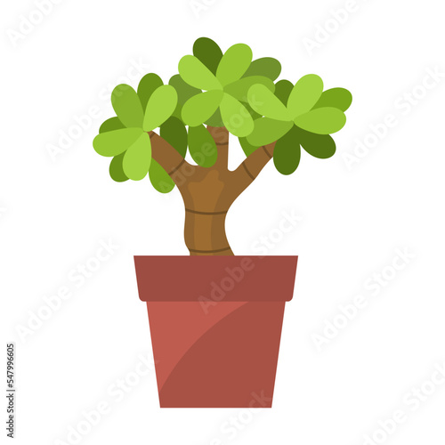 Green plant in pot cartoon vector. Potted decorative houseplant. Decoration  gardening  floral vector  isolated on white background