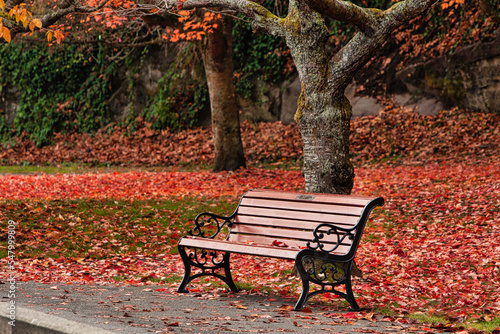 Maffeo Sutton Park, Nanaimo - Pavillion trail reveals these autumn colors in 2022, Vancouver Island, British Colombia, Bc