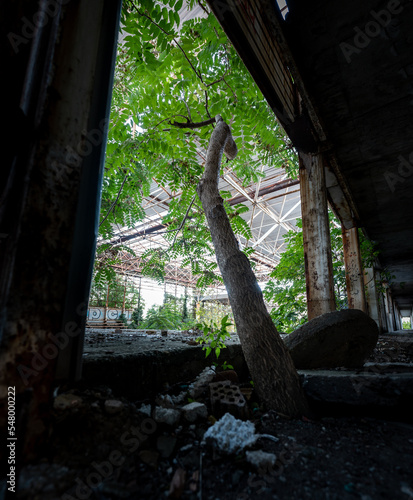 Lostplace Station Ruine zerfallen die Natur erobert alles zurück