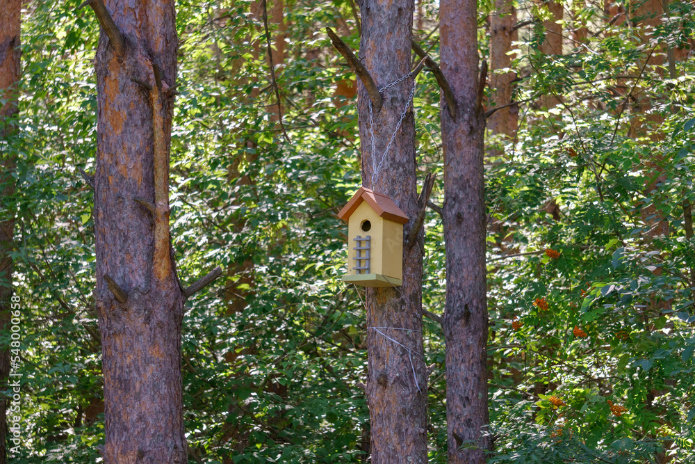 Birdhouse or bird box with natural green leaves background. Selective focus