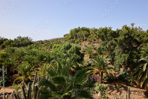 The Fuerteventura Botanical Garden 