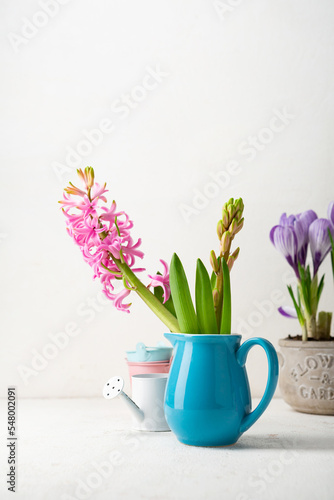 Spring background flowers hyacinth and crocuses light surface
